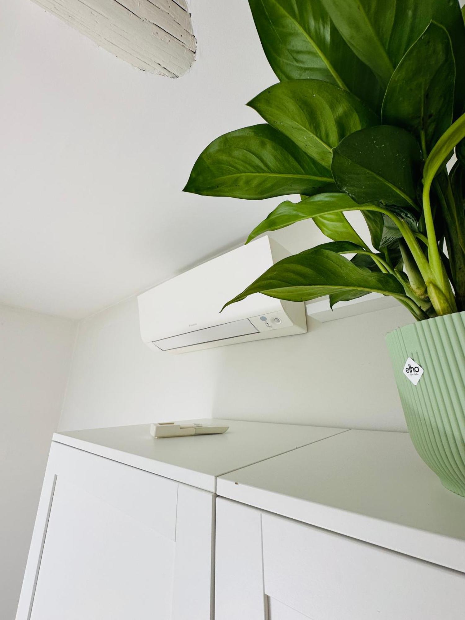 Home Suite Home * Turyn